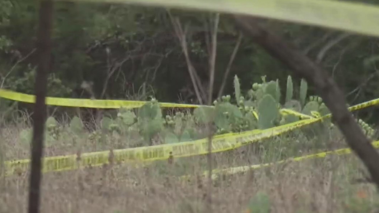 Police respond to fatal small plane crash in Williamson County