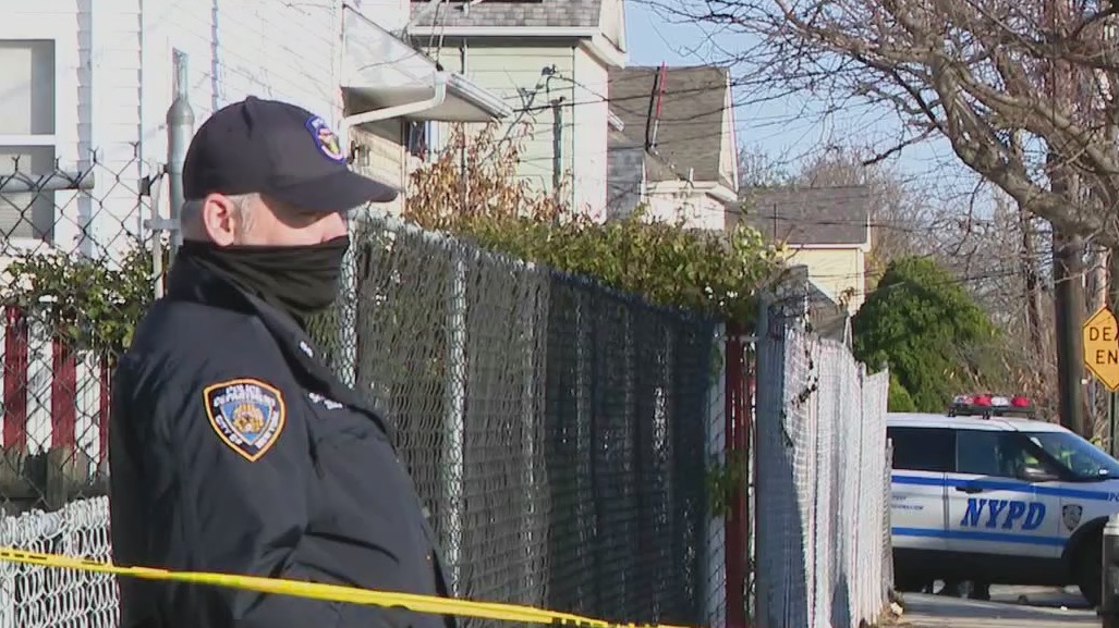 Cops wounded in Queens