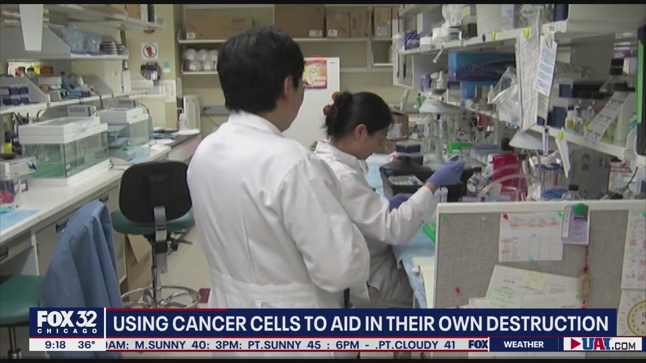 UChicago researchers develop new immunotherapy cancer vaccine