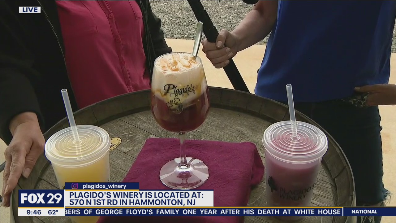 Celebrating National Wine Day in Hammonton