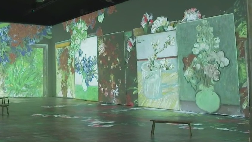 Beyond Van Gogh at Circuit of the Americas