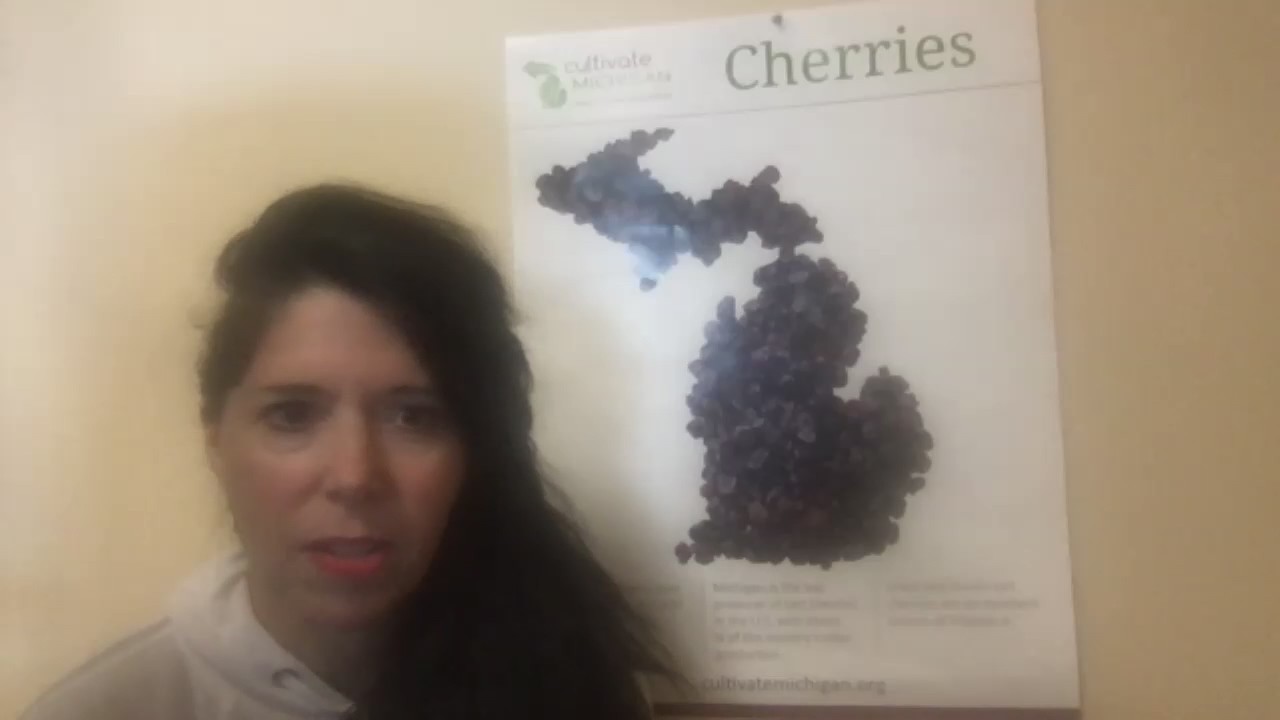 Dietician for Red Wings shares her COVID-19 survival story