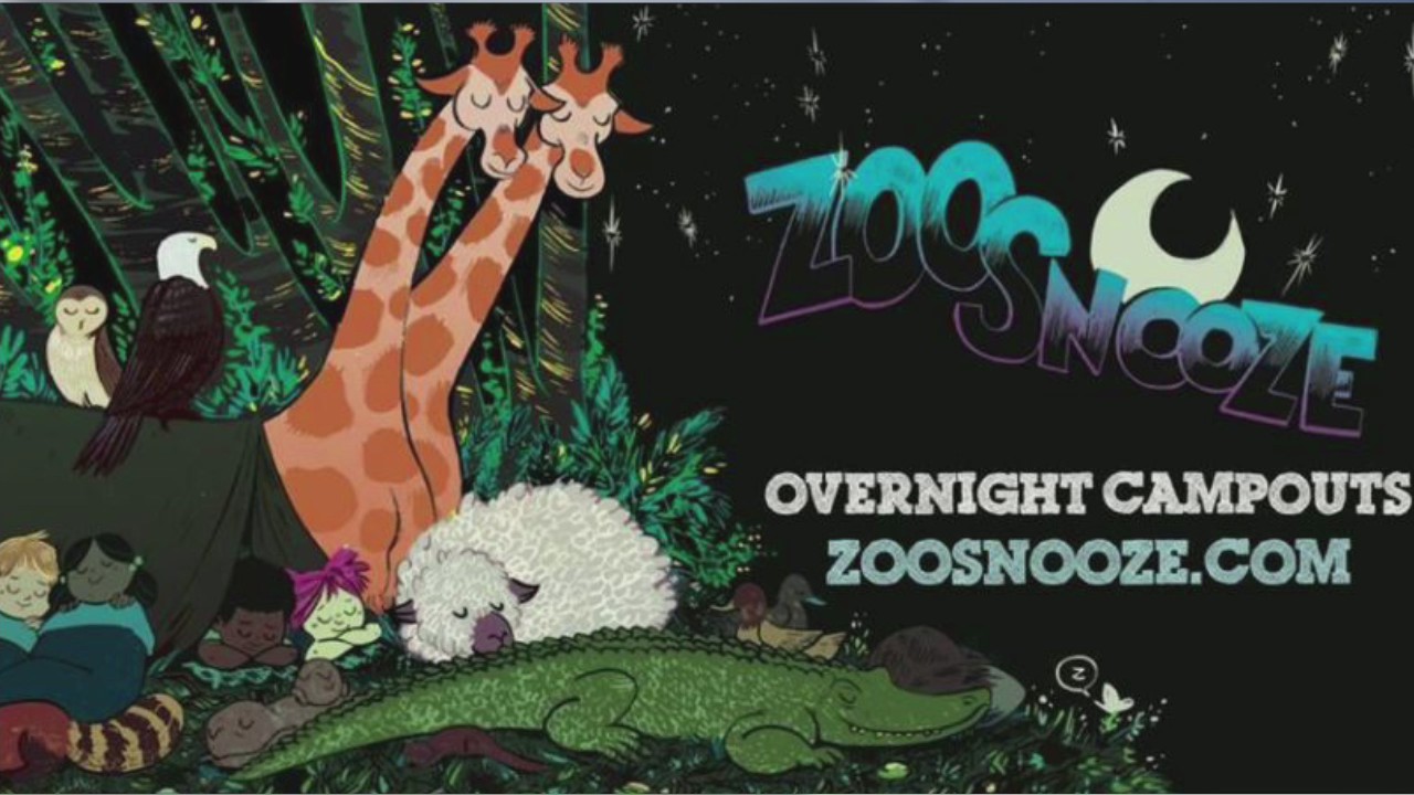 Elmwood Park Zoo offers ZooSnooze campouts with animals
