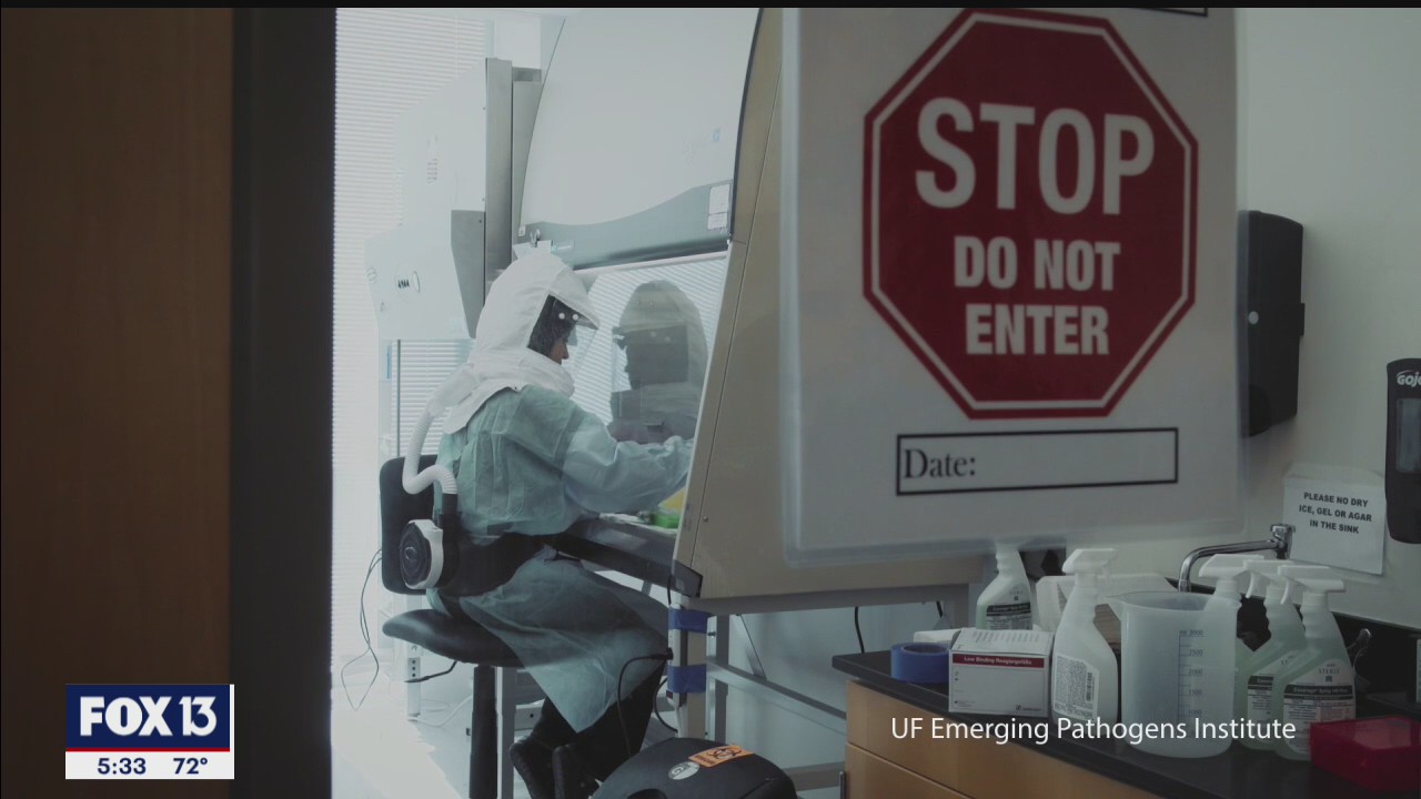 Experts hold out hope for ending pandemic in 2021