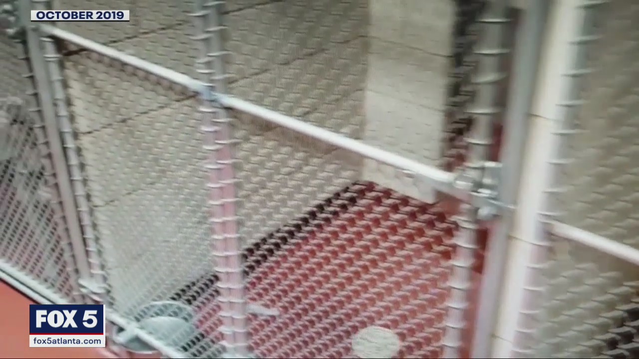 Animal shelter shuts down over illness