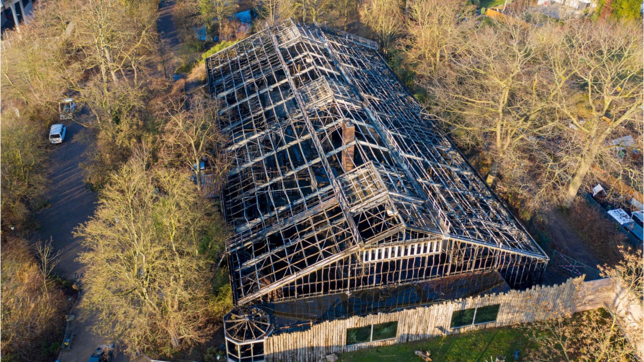 3 women investigated for causing deadly fire at German zoo