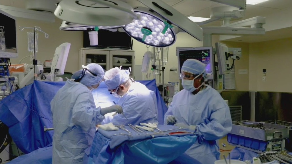 TGH had record year for transplant surgeries