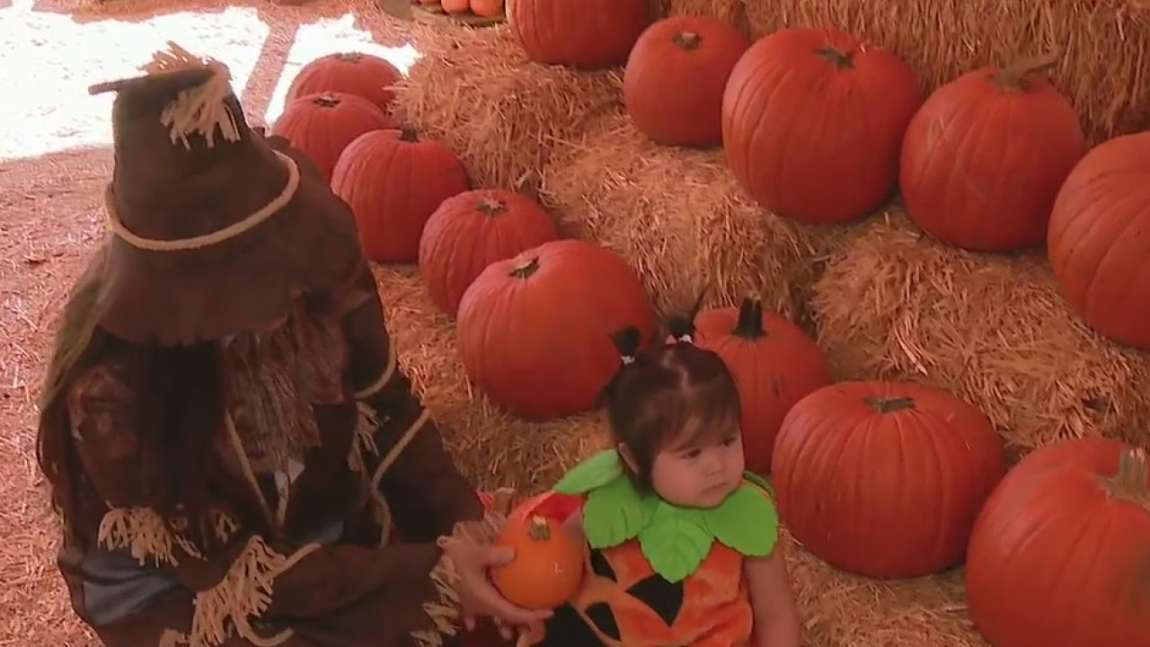 Pandemic-friendly Halloween costumes, activities