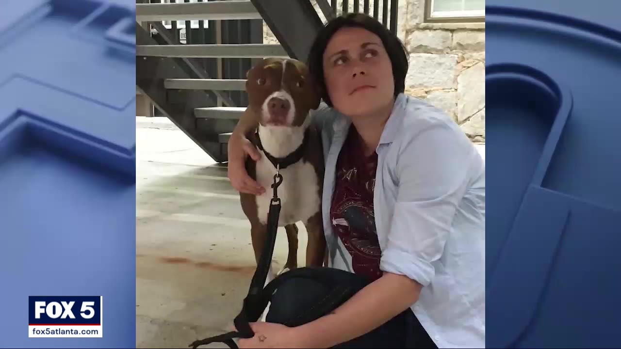 Police offer reward in Piedmont Park deadly stabbing case