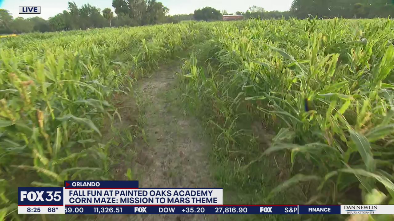 David Does It: Corn Maze