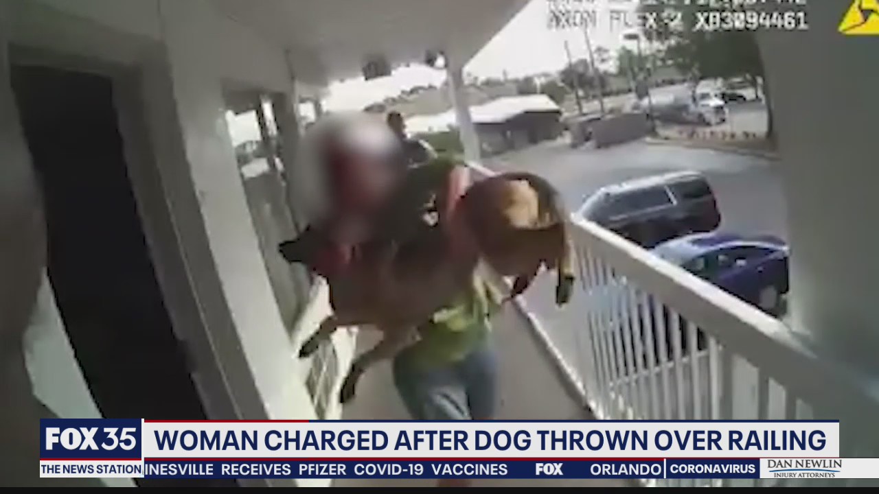 Police say woman threw dog off balcony