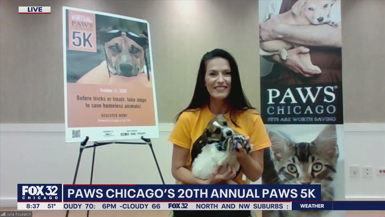 PAWS Chicago 5K Walk or Run for Their Lives takes on virtual twist for 20th anniversary