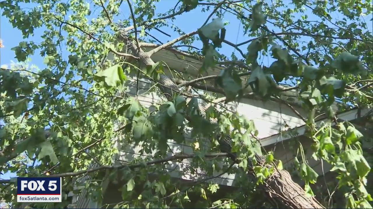 Couple thankful for lives after tree falls on home