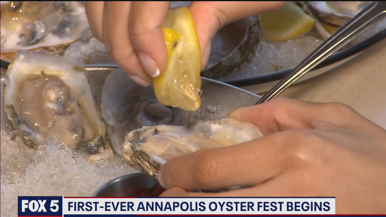 First-ever Annapolis Oyster Fest begins