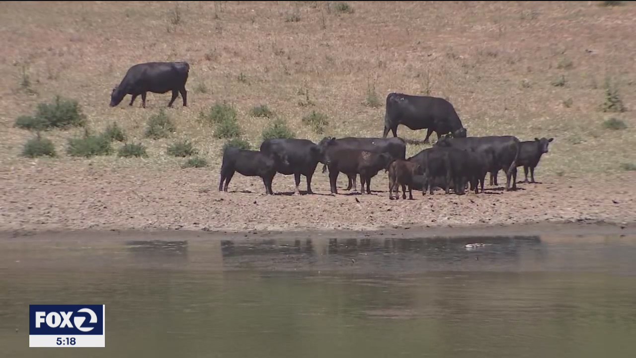 The drought's assault on California's $50B farm industry