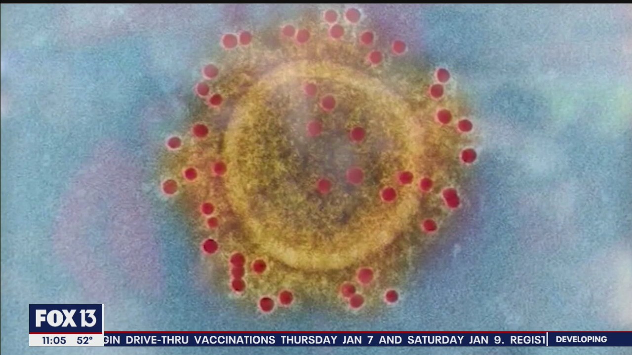 What you need to know about COVID-19 mutations