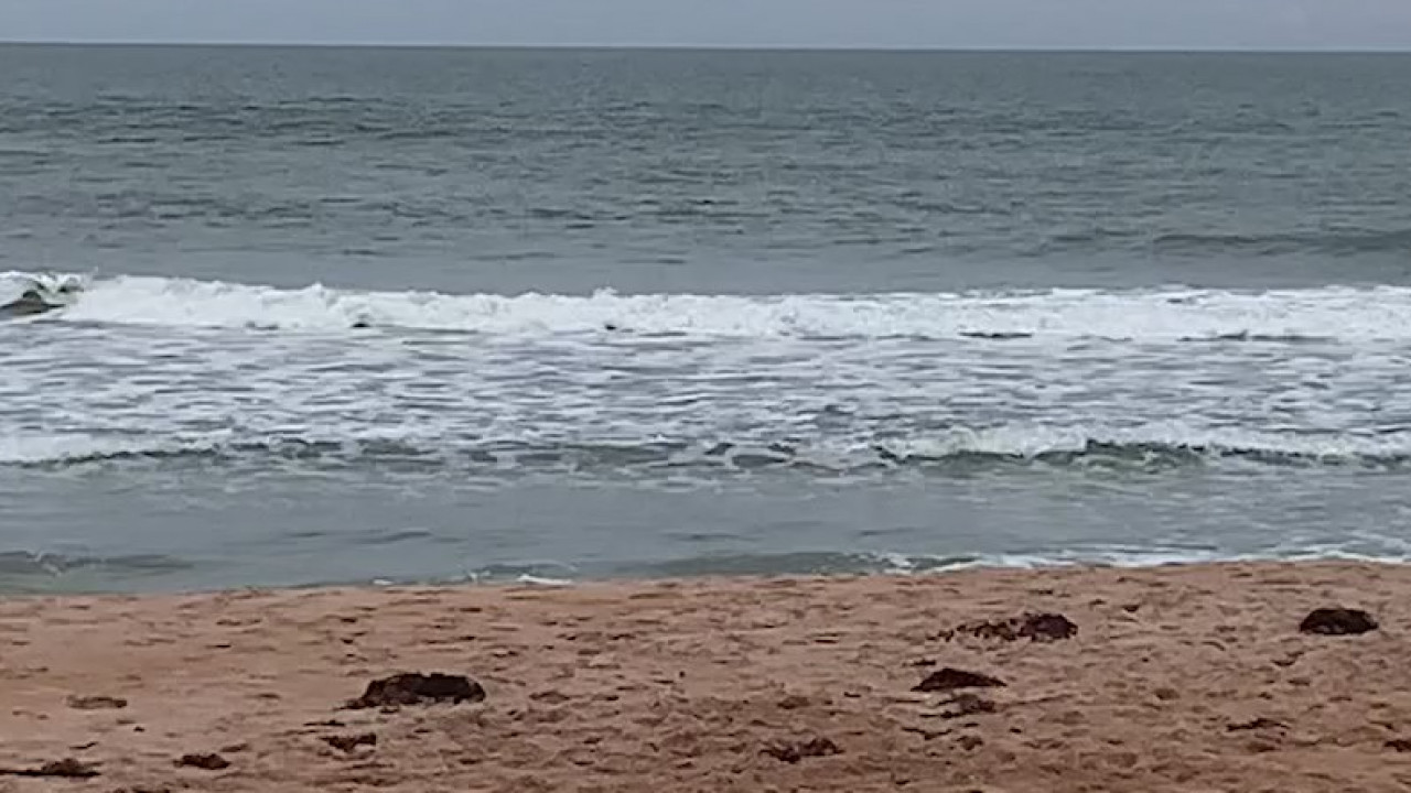 Boy drowns near Ormond Beach