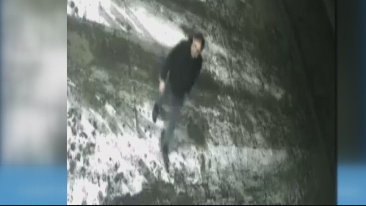 Serial pooper on the loose in Warren, using unlocked vehicles to defecate in
