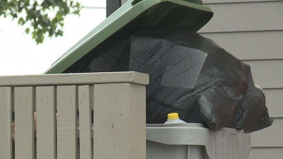 Rat issues in Milwaukee's Westlawn Gardens