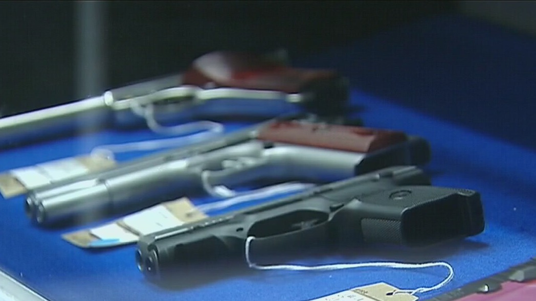 FOX 7 Discussion: Firearms instructors pushing gun education, safety