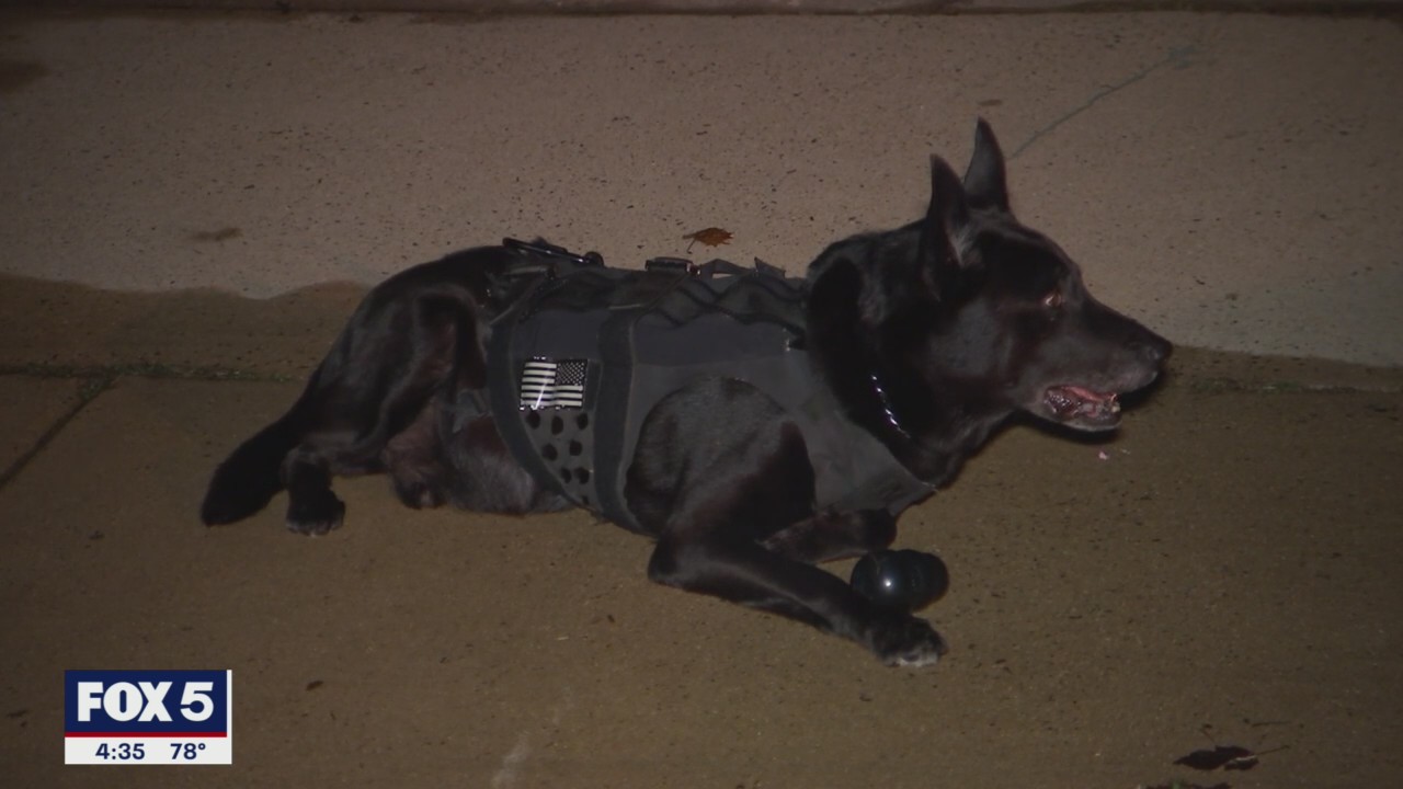 Non-profit for retired K9s, Paws of Honor, gets much-needed support