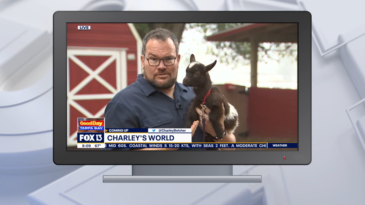 Good Day Goodies: Jan. 29, 2021