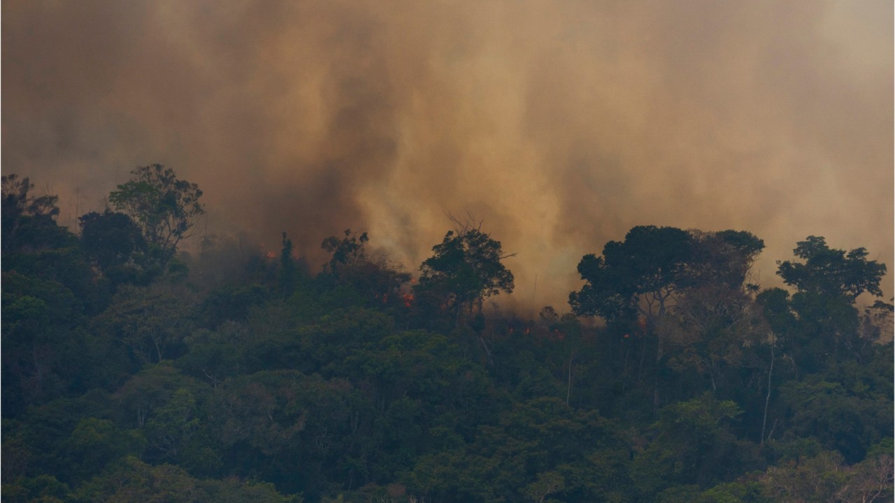 France threatens economic retaliation over Amazon fires