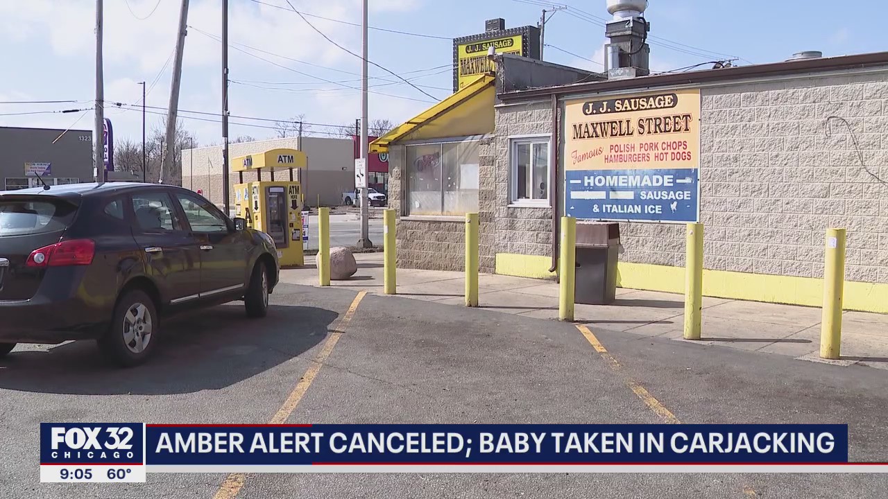 Amber Alert canceled for 8-month-old boy in vehicle stolen from Dolton