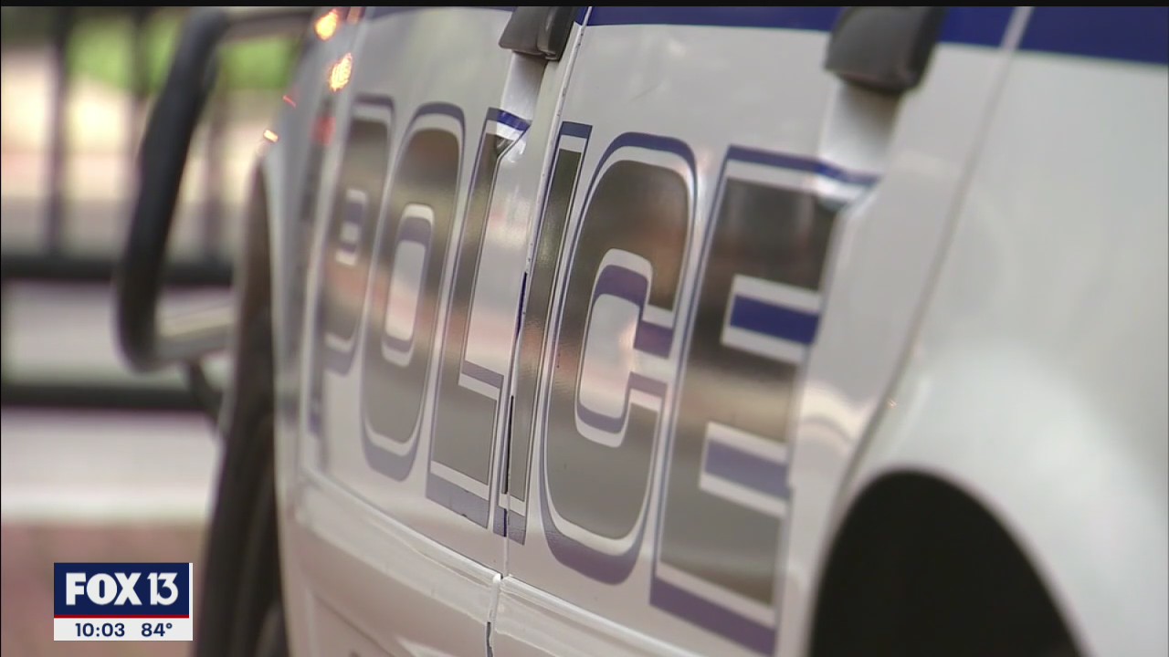Policing changes in Tampa after task force report