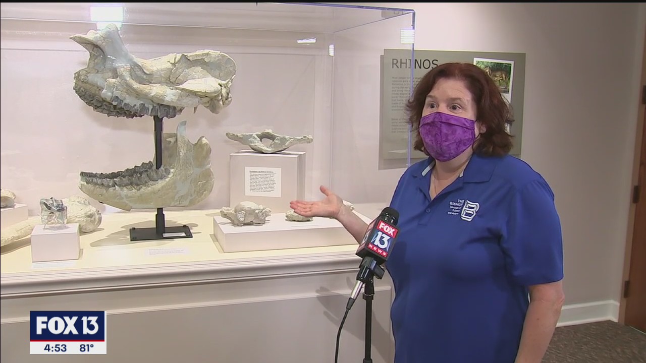 Teacher's fossil journey at Bishop Museum