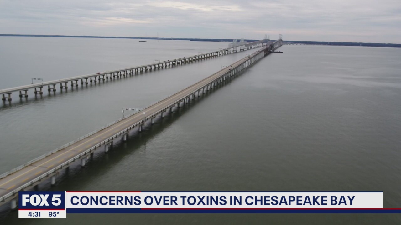 Report links Chesapeake Bay contaminants to military installations