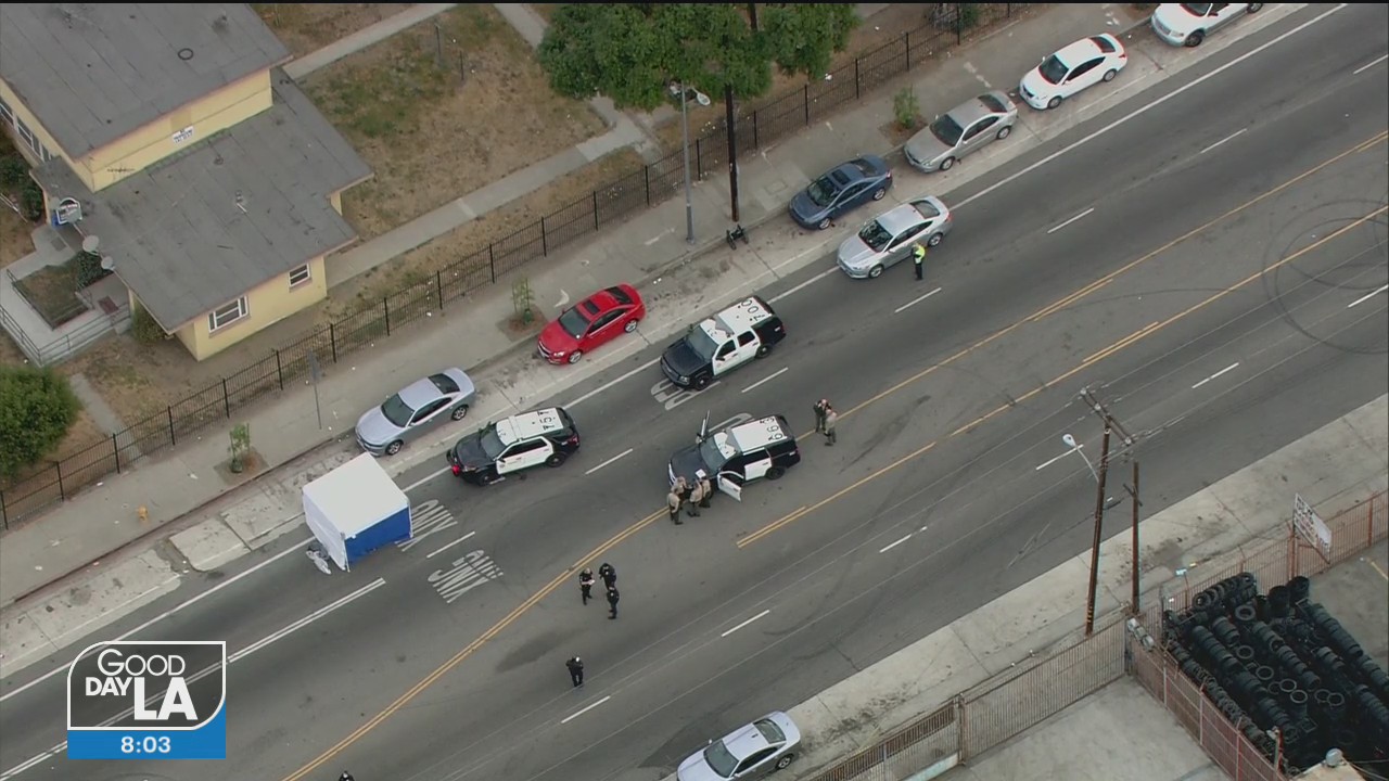 LA Sheriff's deputy accused of fatally striking pedestrian, authorities says