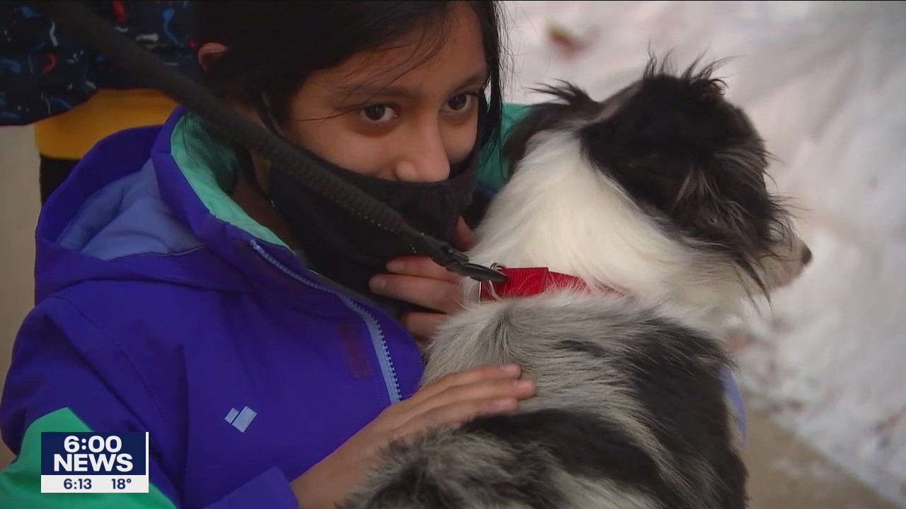 Minnesota family reunited with dog stolen during carjacking