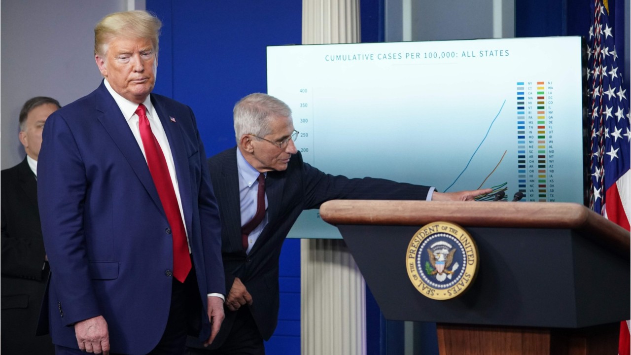 White house projects between 100,000 and 240,000 deaths from COVID-19