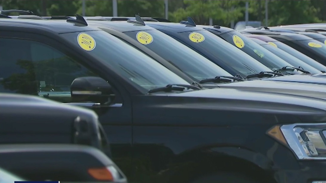 Car sales on the rise