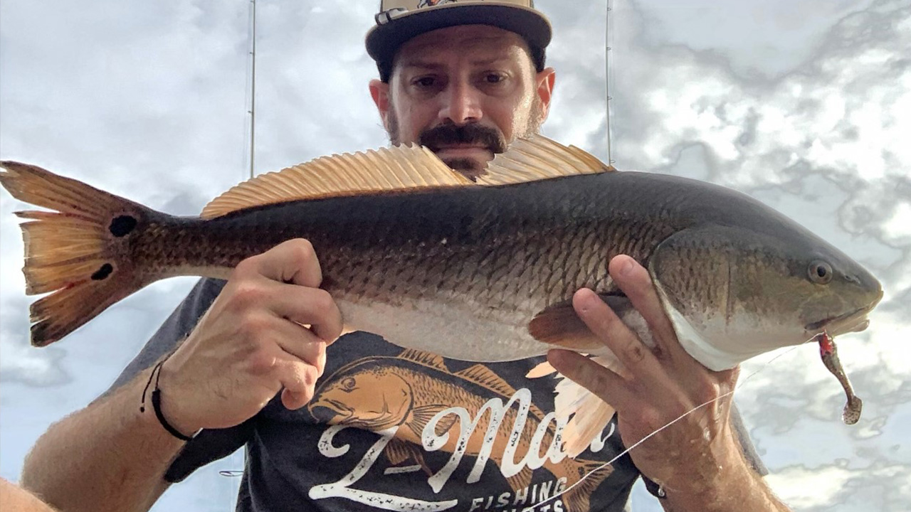 Redfish action staying steady inshore
