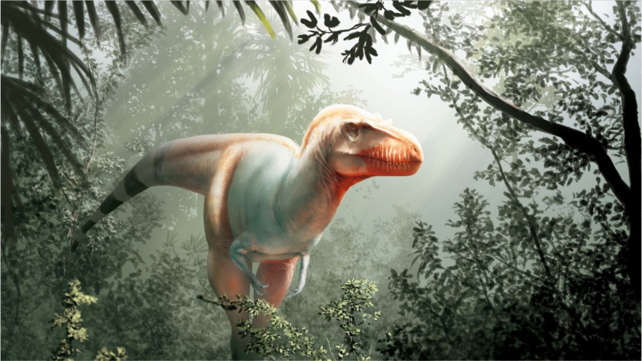 ‘Reaper of death’ Tyrannosaur species discovered