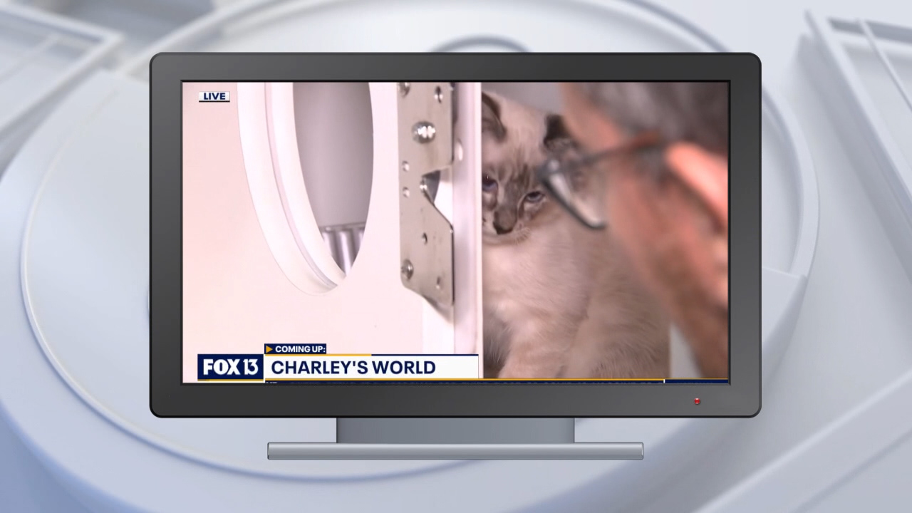 Good Day Goodies: July 16, 2021