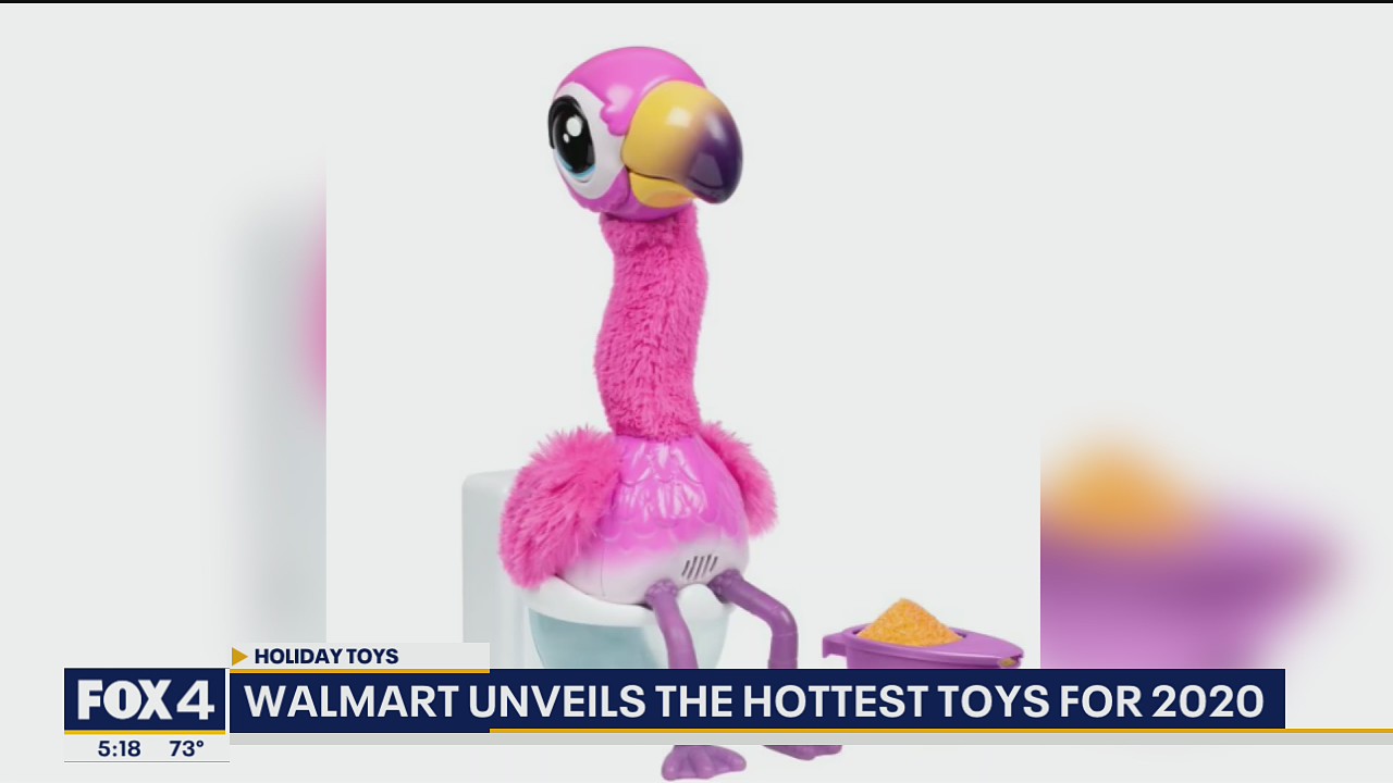 Gotta Go Flamingo