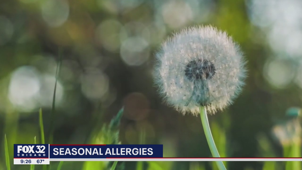 Allergy season is in high gear