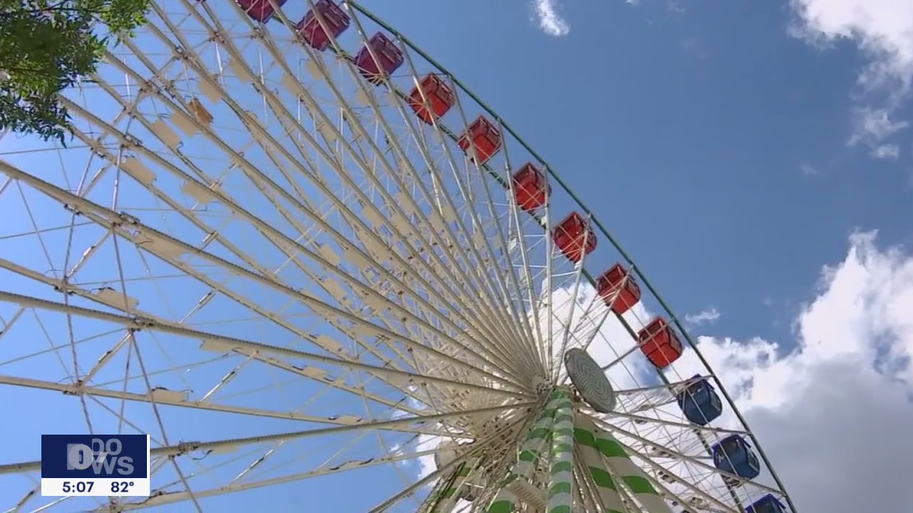 Love at the Minnesota State Fair