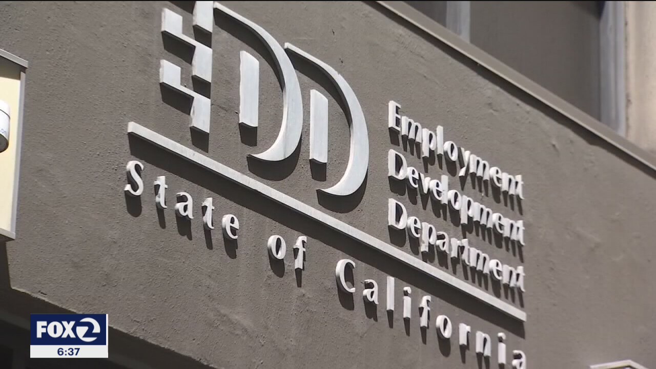 EDD an easy target, fights to crack down on bogus claims