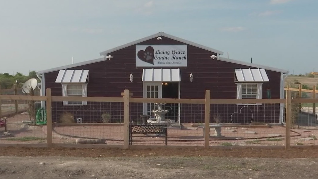 Bertram nonprofit aims to save elderly dogs who can’t get adopted
