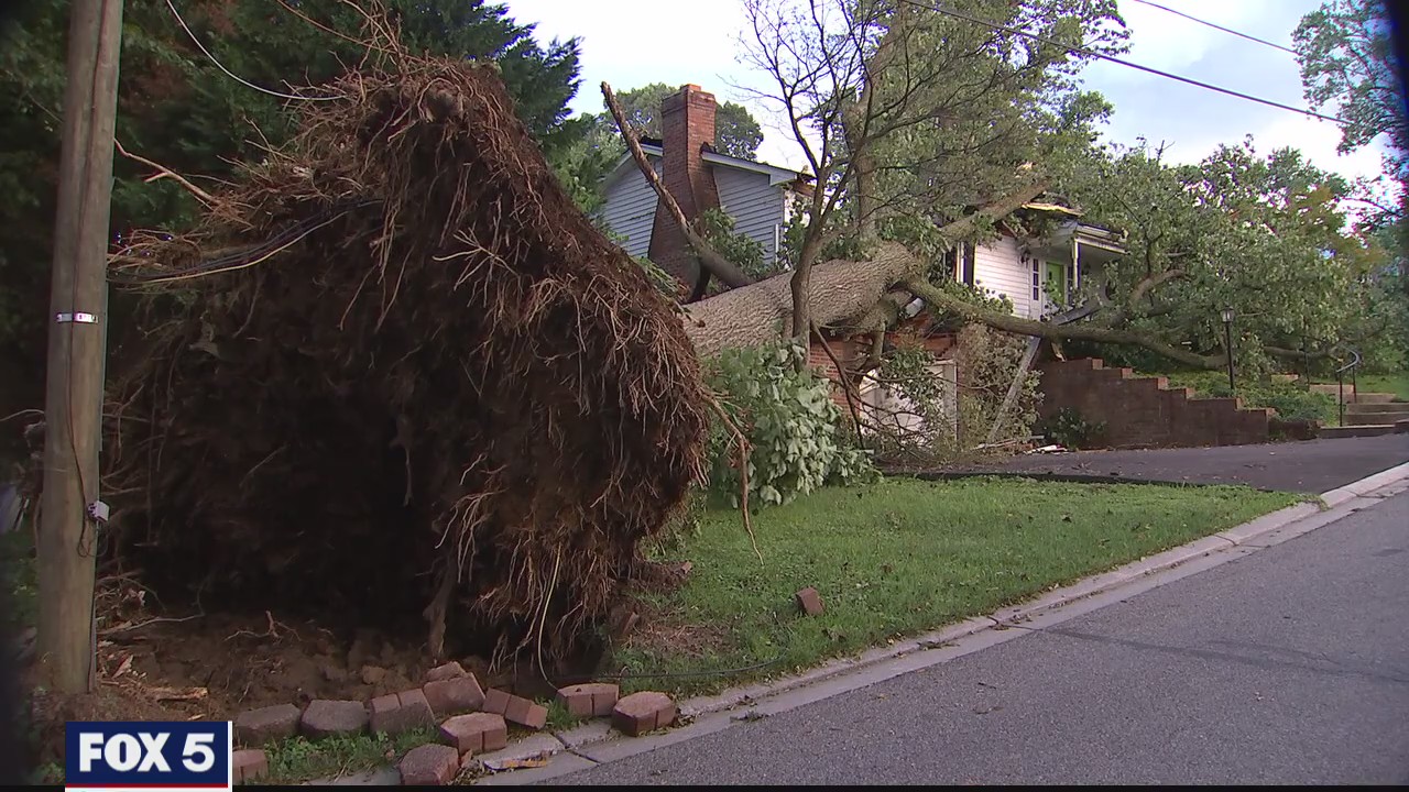 Cleanup after tornado damage