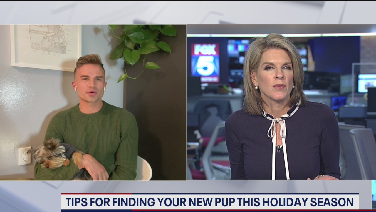 Tips for finding your new pup this holiday season