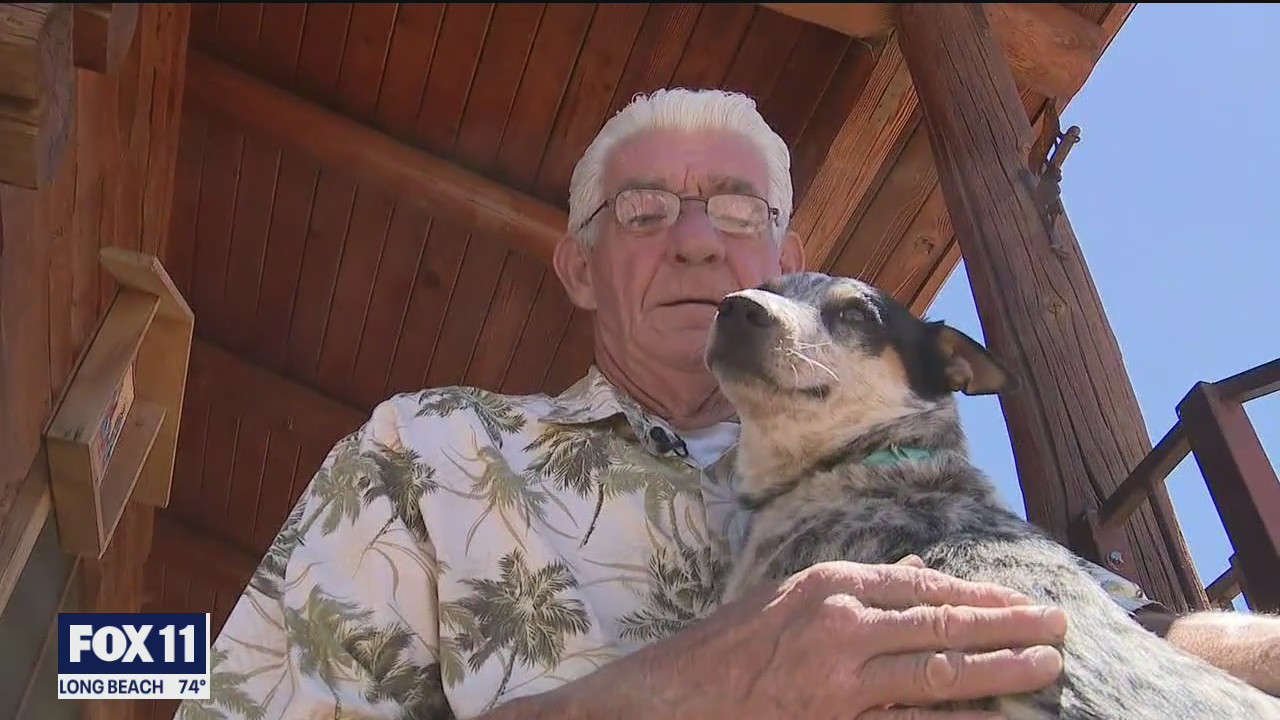 Dog lost in Apple Fire reunites with his owner