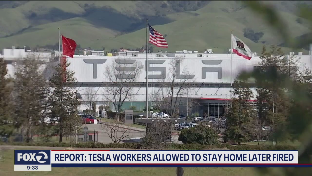 Report: Tesla workers fired after allowed to stay home