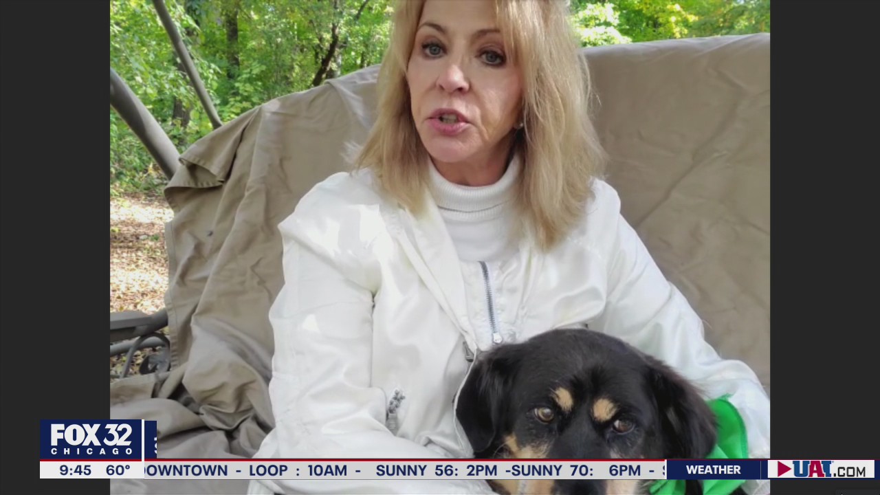 Sadie the dog's emotional story aims to end bullying