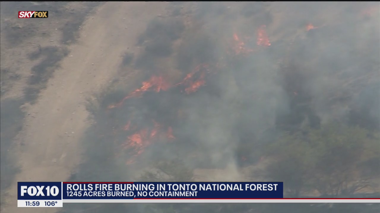 Mesa fire crews battling 1,000-acre fire in Tonto National Forest