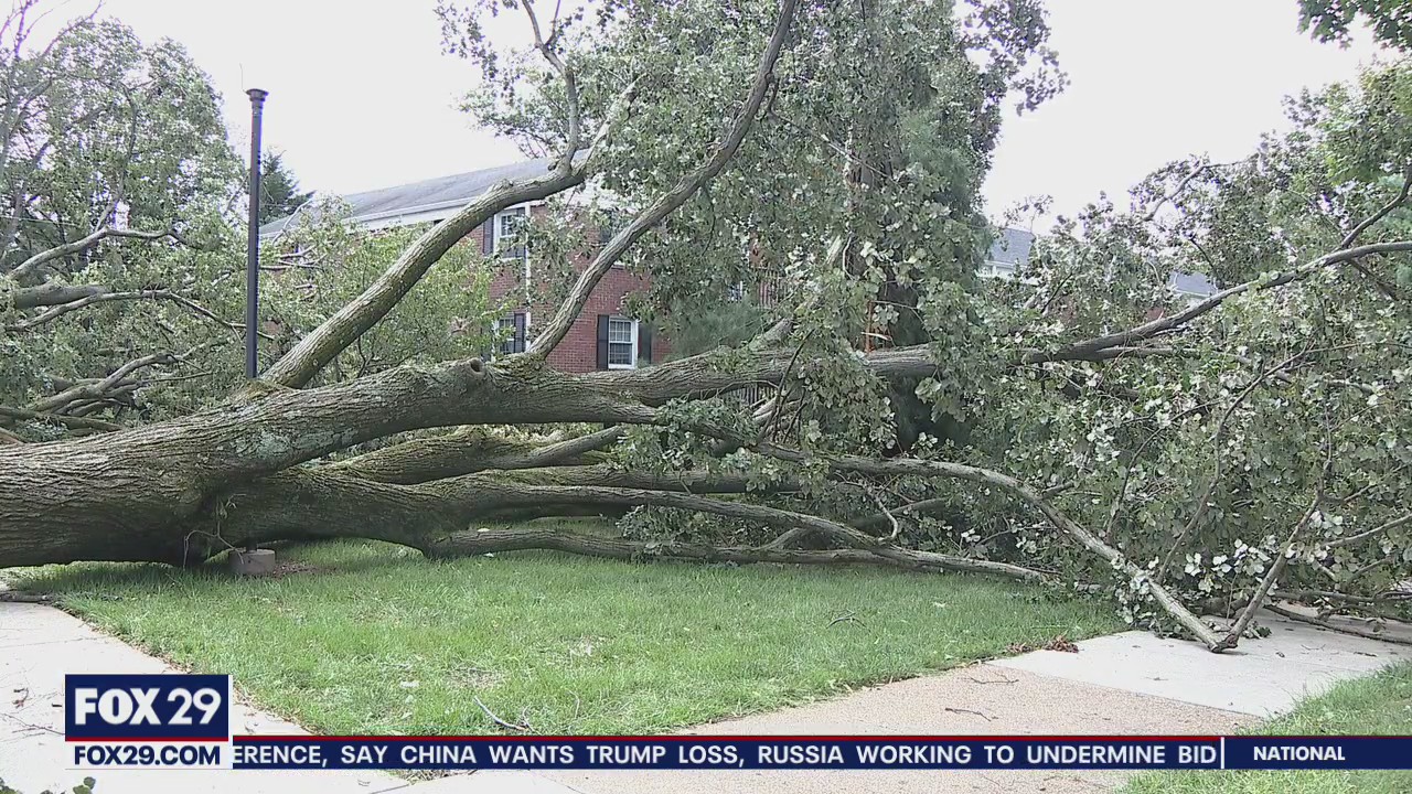 Powerful storms plow through Delaware leaving destruction